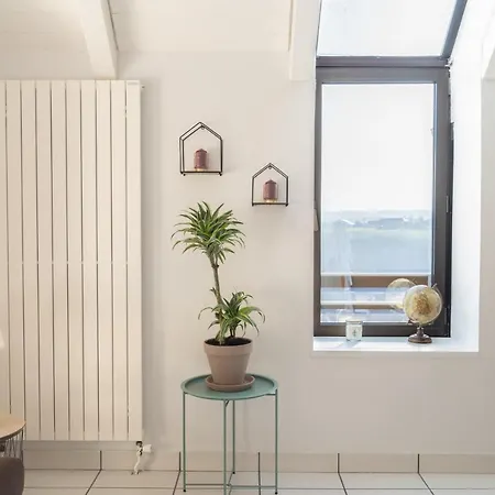 T4 Duplex Urbain Et Moderne Vue Degagee Hyper Centre *